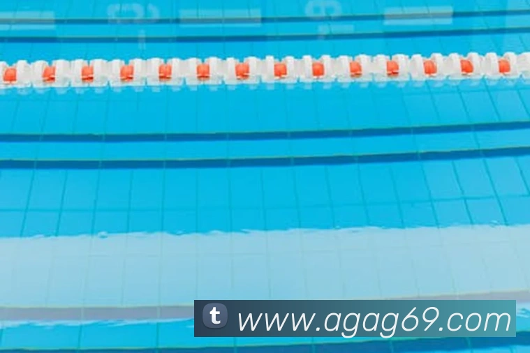 尊龙凯时人生就是博平台生态图